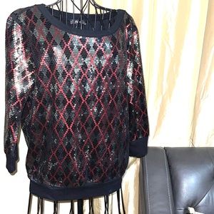 Express L sequin pullover top sweater